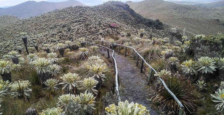 Se celebran 27 años de creación de reserva ecológica El Ángel