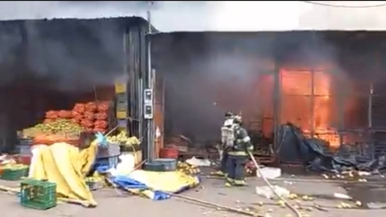 Incendio en Mercado Mayorista de Quito fue controlado