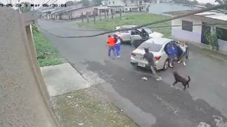 VIDEO: Secuestraron a una niña cuando se dirigía a un centro educativo en Quevedo