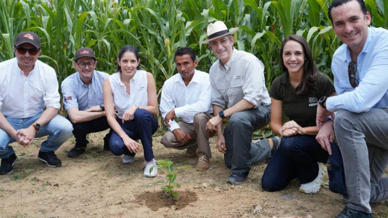 En la finca cacotera Yonida del cantón Vinces se sembró el árbol número 500.000 del programa Plan Cacao de Nestlé.