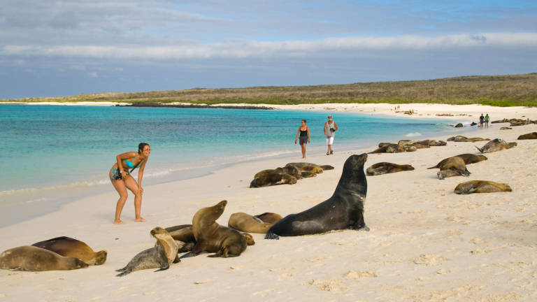 Aeropuerto de Galápagos logra certificado &quot;carbono neutro&quot;