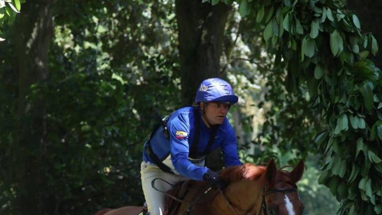 Wettstein quedó fuera de los 25 en salto con obstáculos de París