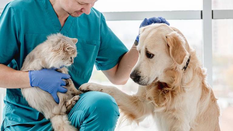 El Congreso Veterinario de León 2024 Llega a Guayaquil: Innovación y Conocimiento para Profesionales del Sector