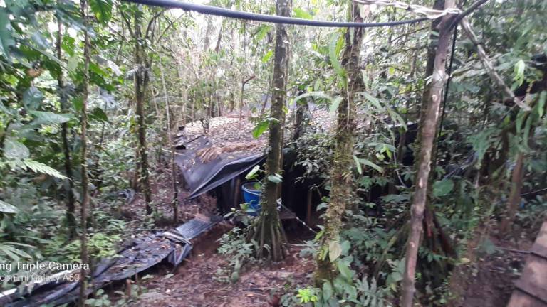 Fuerzas Armadas localizaron un laboratorio de drogas en Sucumbíos